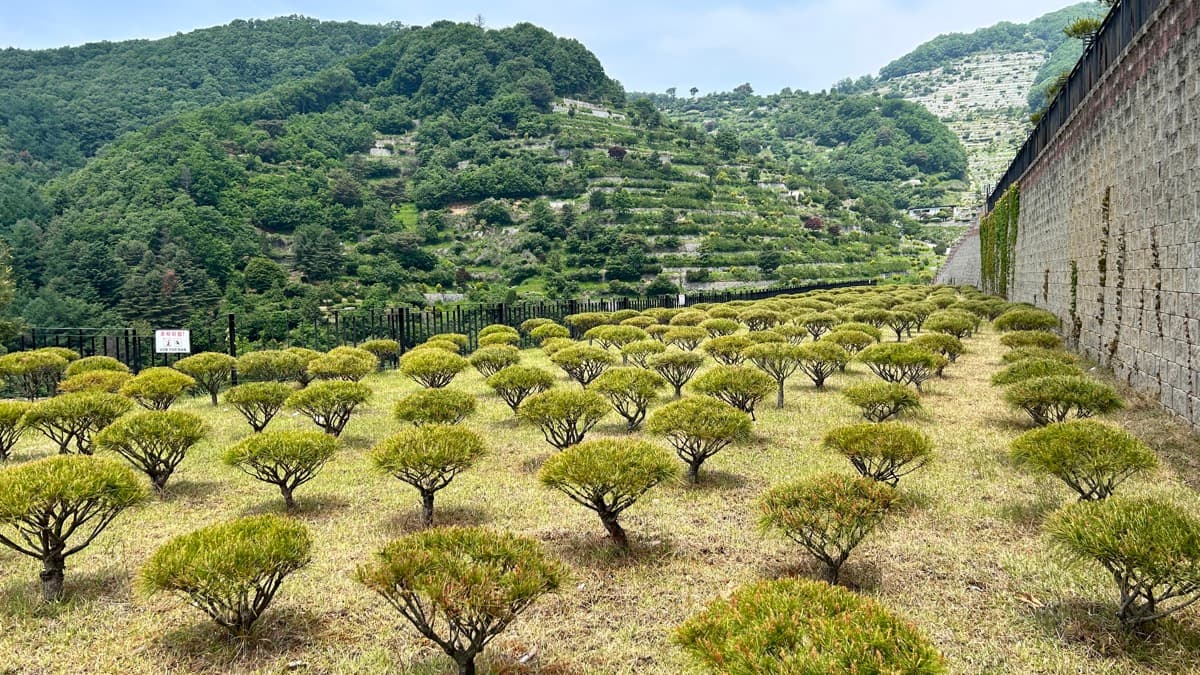 양평 수목장 외부 전경 및 주변 환경