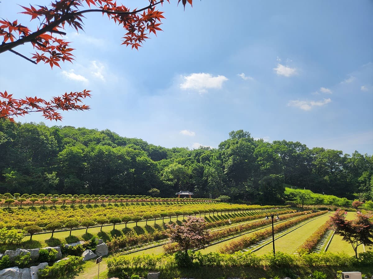 용인 수목장 내부 시설 전경