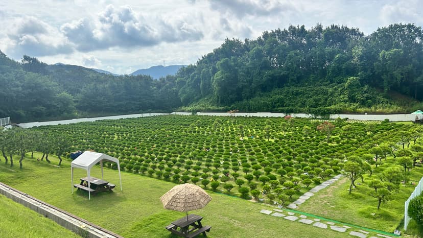 광주 수목장 전경