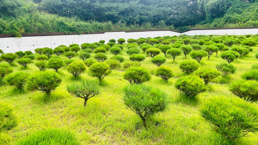 광주 수목장 산책로