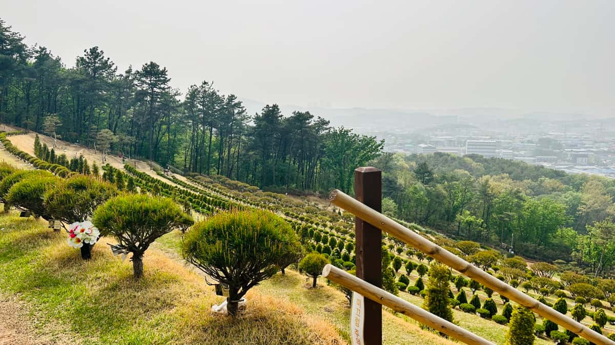 일산 자연 수목장 추모목 상세 모습