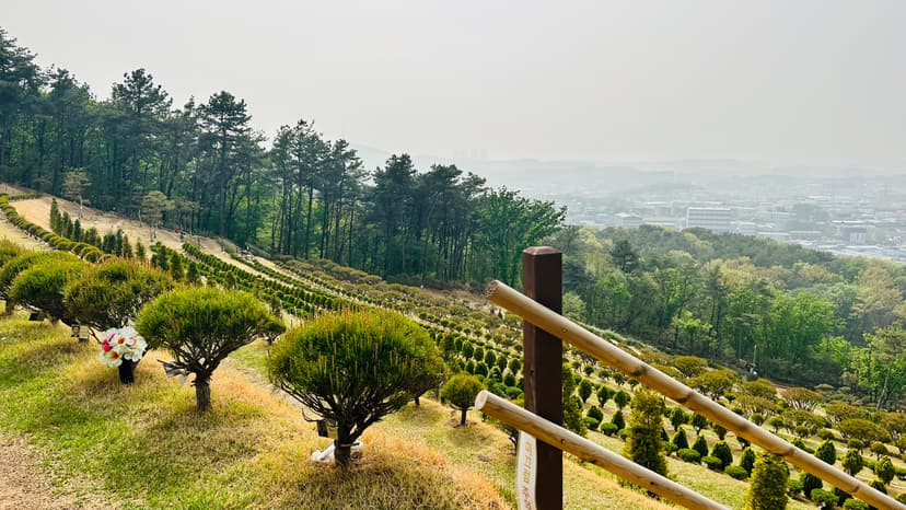 일산 수목장 전경