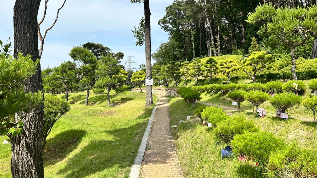 일산 자연 수목장 수목장 전체 전경