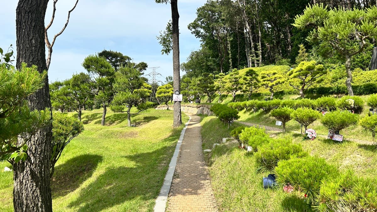 일산 자연 수목장 수목장 전체 전경