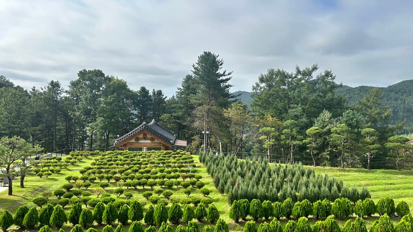 남양주 수목장 전경