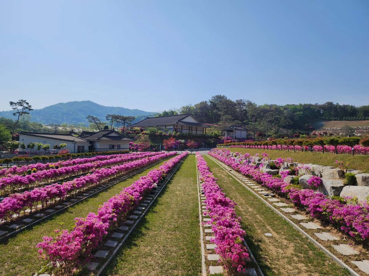 용인 사찰 수목장 추모목 상세 모습