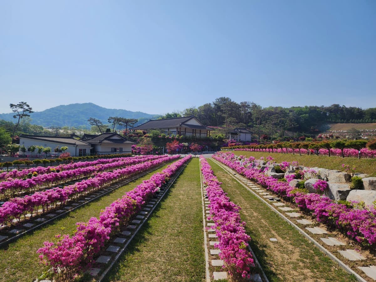 용인 사찰 수목장 추모목 상세 모습