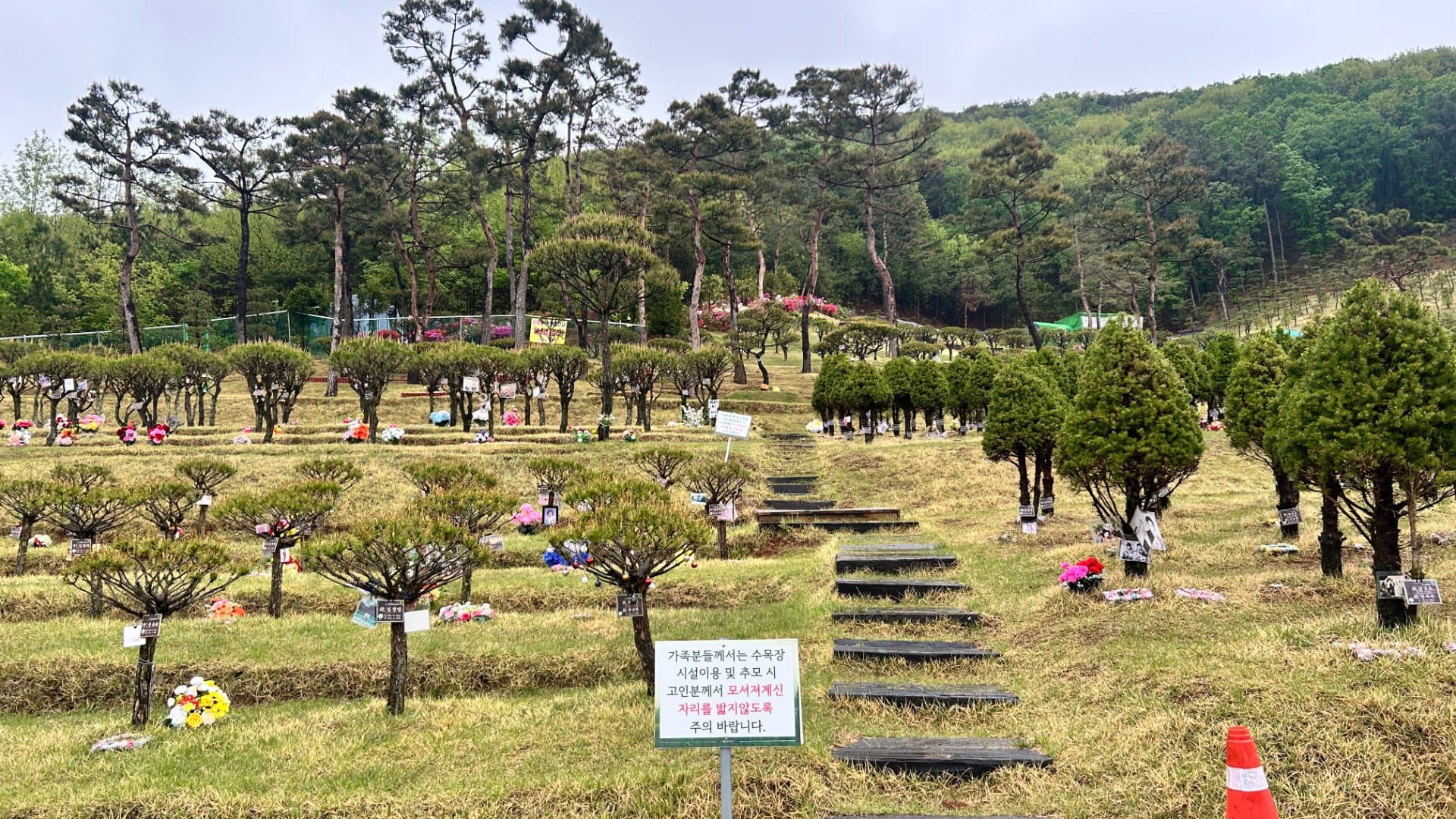 김포 수목장