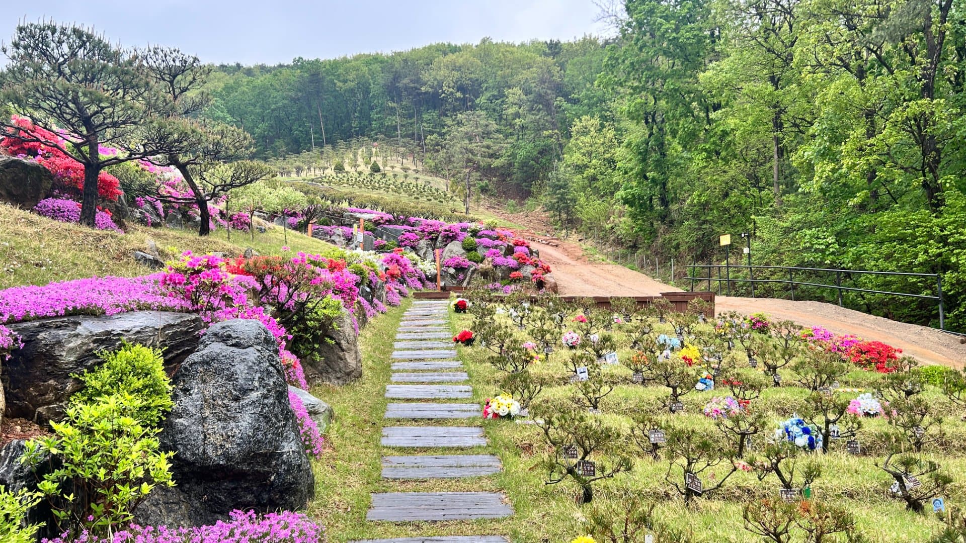 김포 수목장 수목장 전체 전경