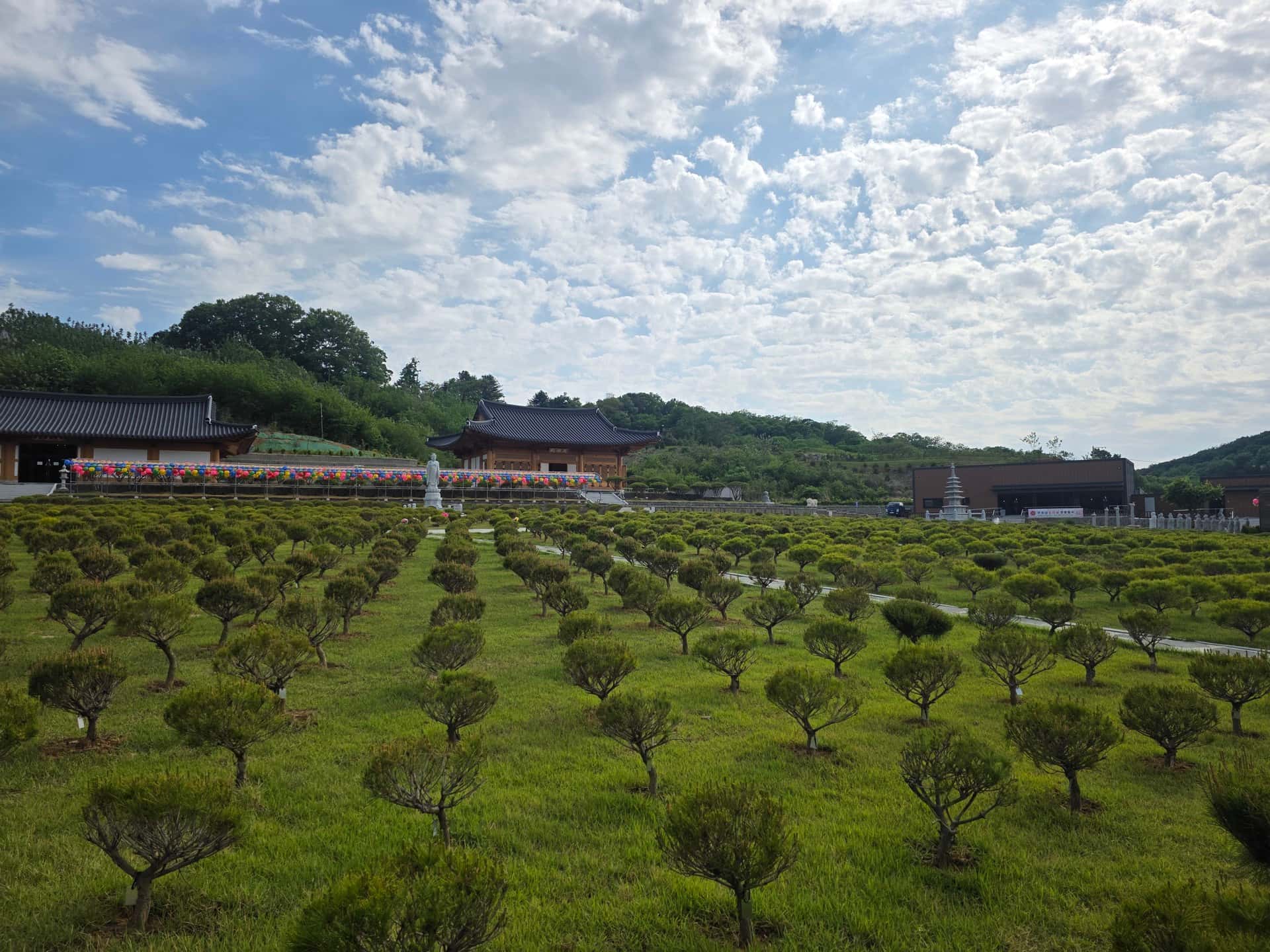 김포 사찰 수목장 추모목 상세 모습