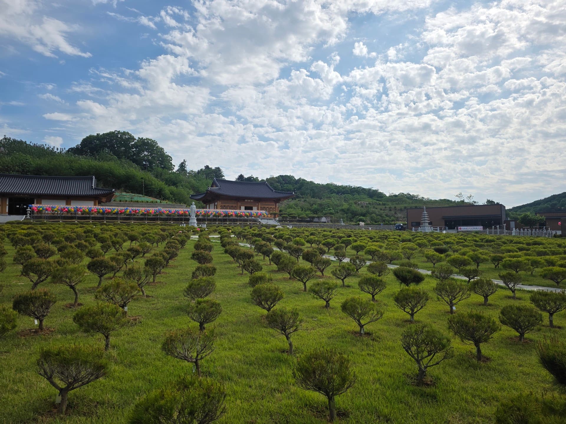 김포 사찰 수목장