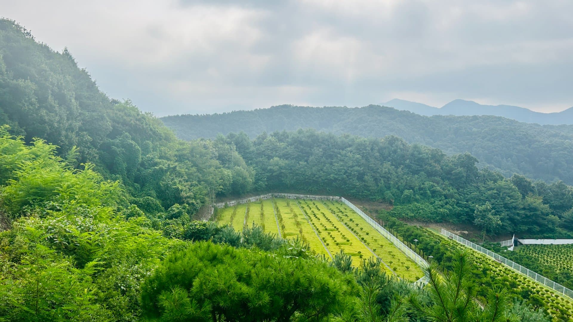 곤지암 수목장 수목장 전체 전경
