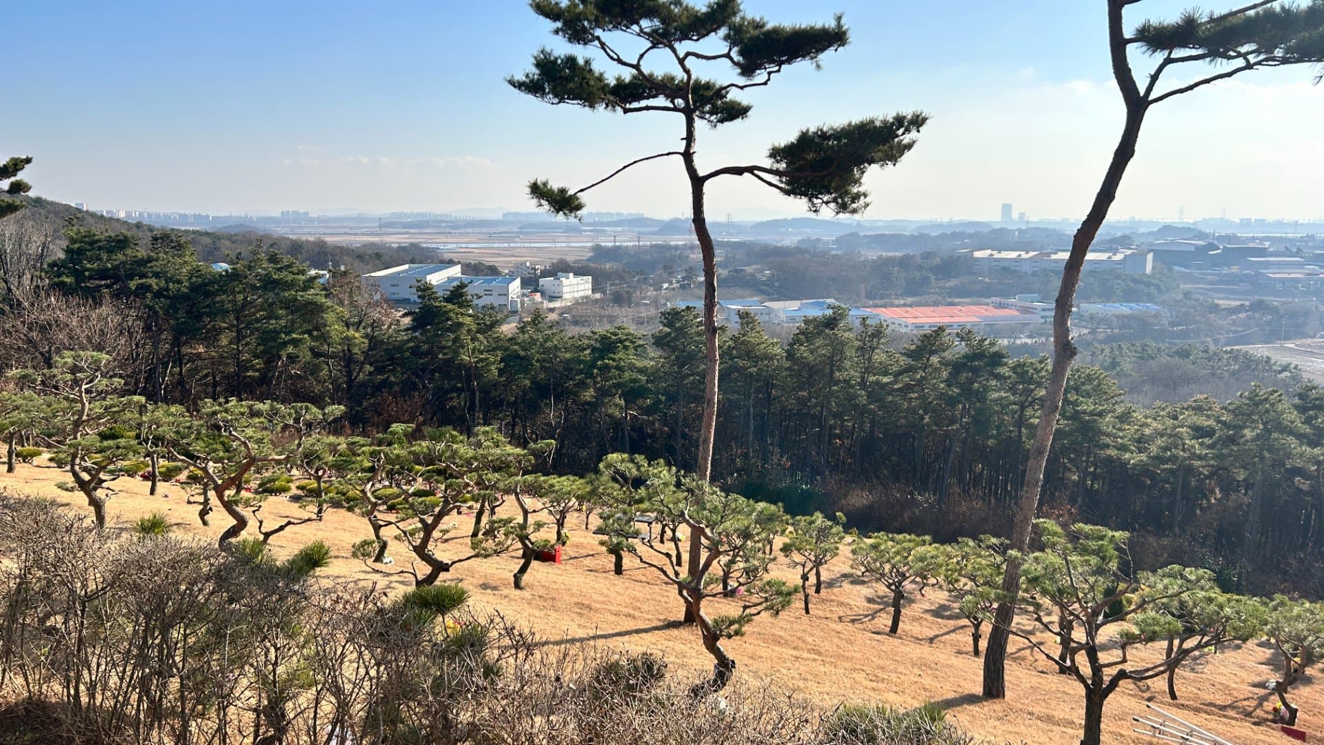 화성 장안 수목장 수목장 전체 전경