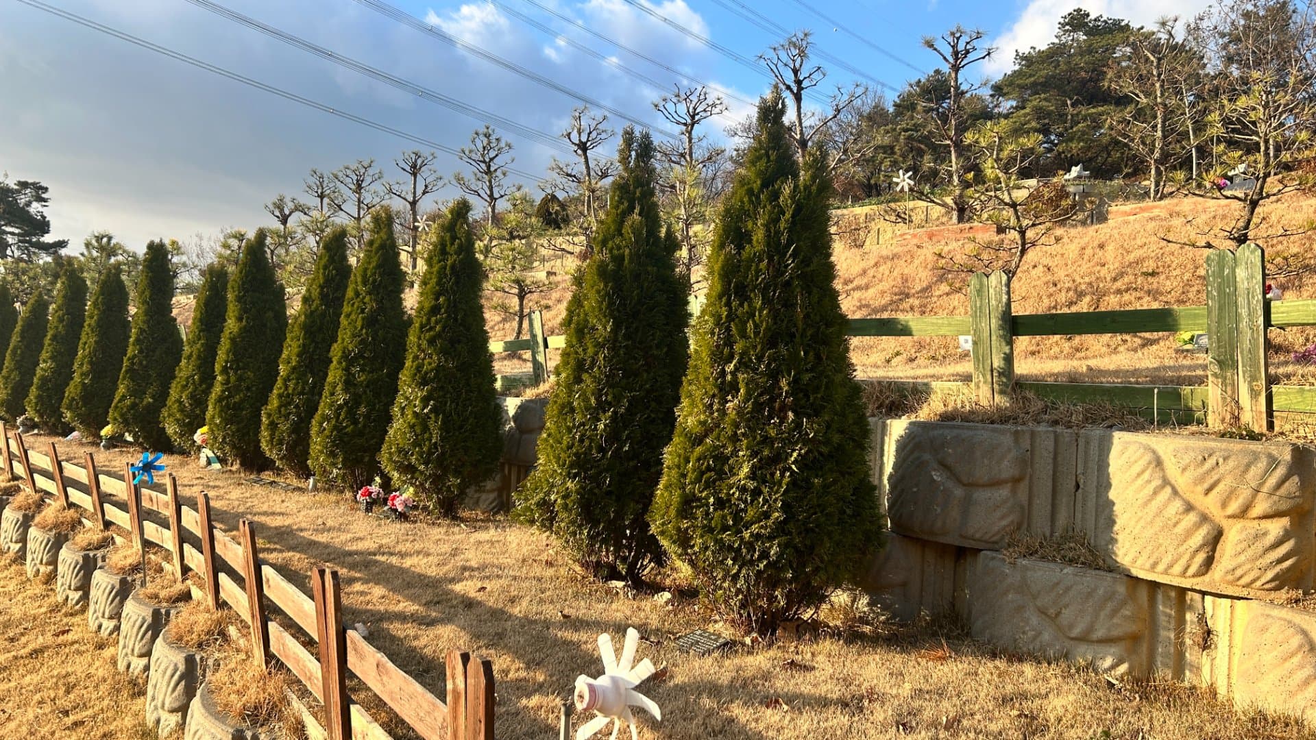화성 수목장