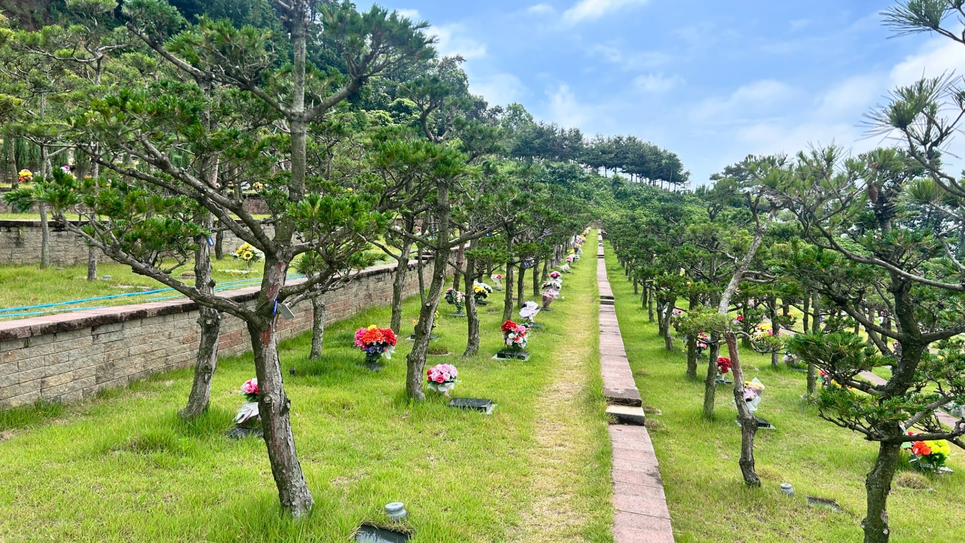평택 수목장