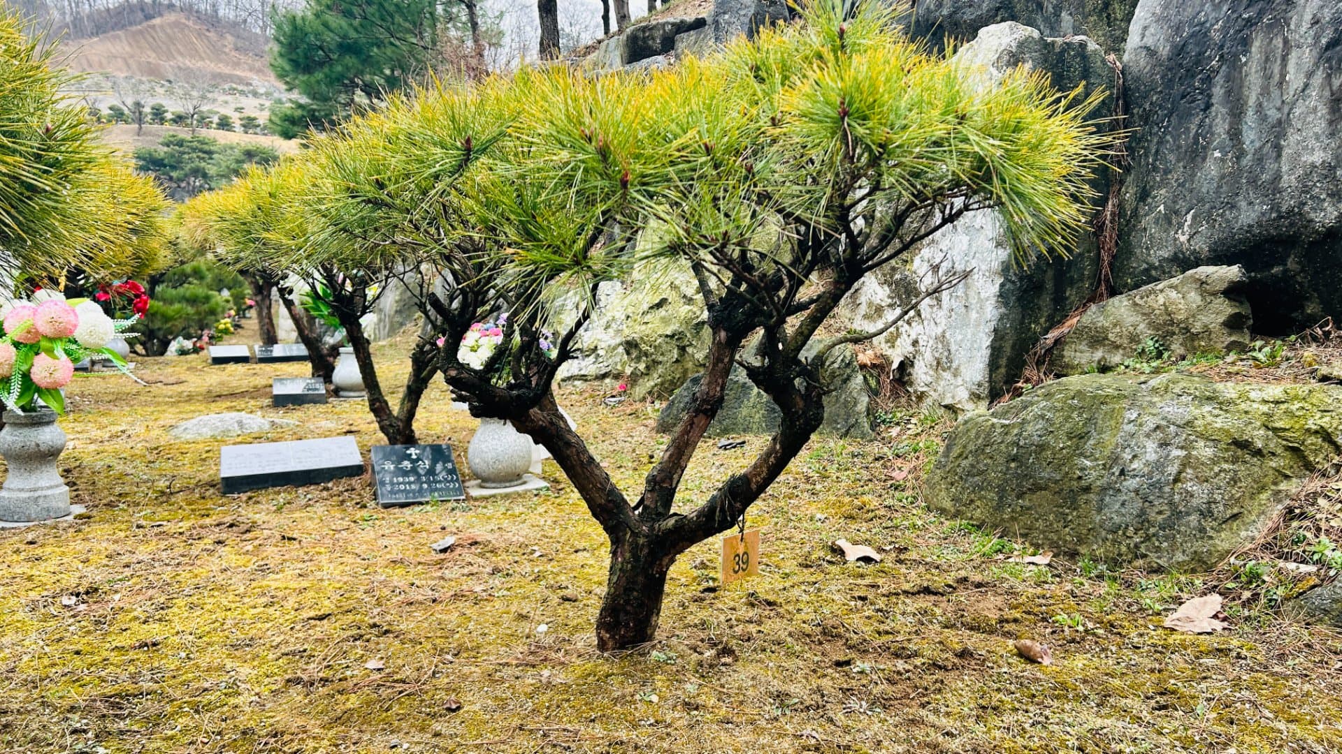 양평 사찰 수목장
