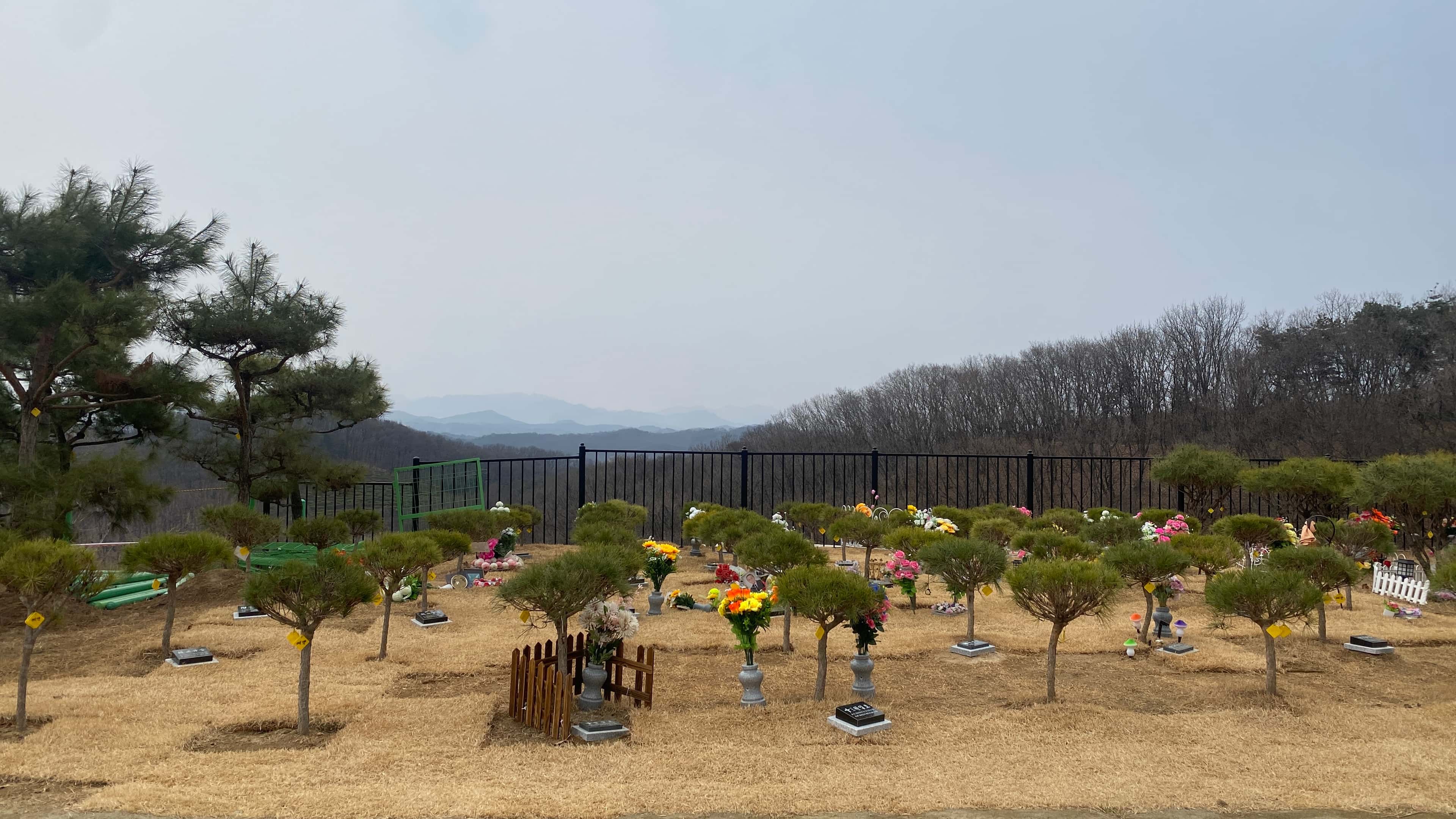 연천 기독교 수목장 추모목 상세 모습