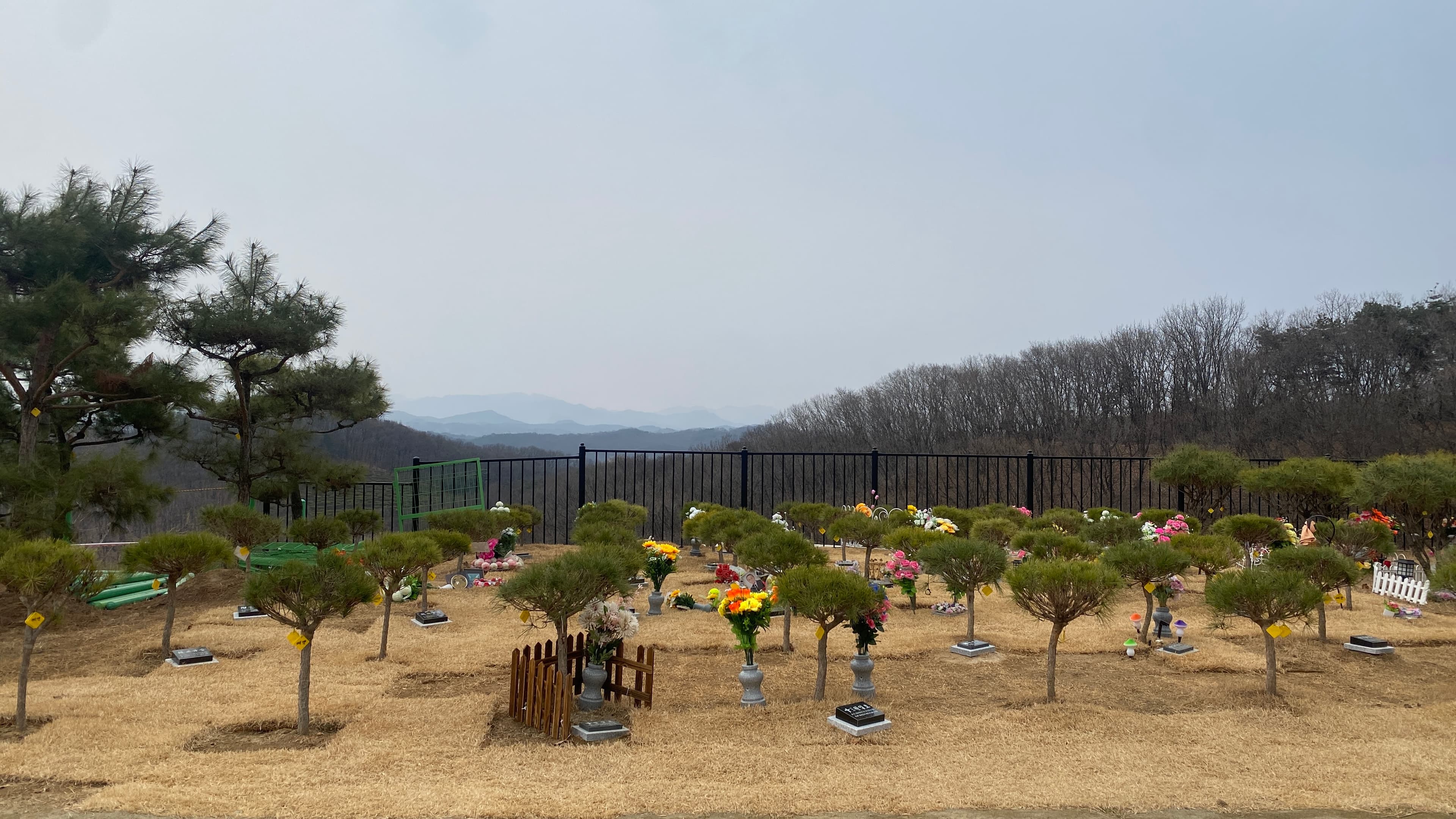 연천 기독교 수목장