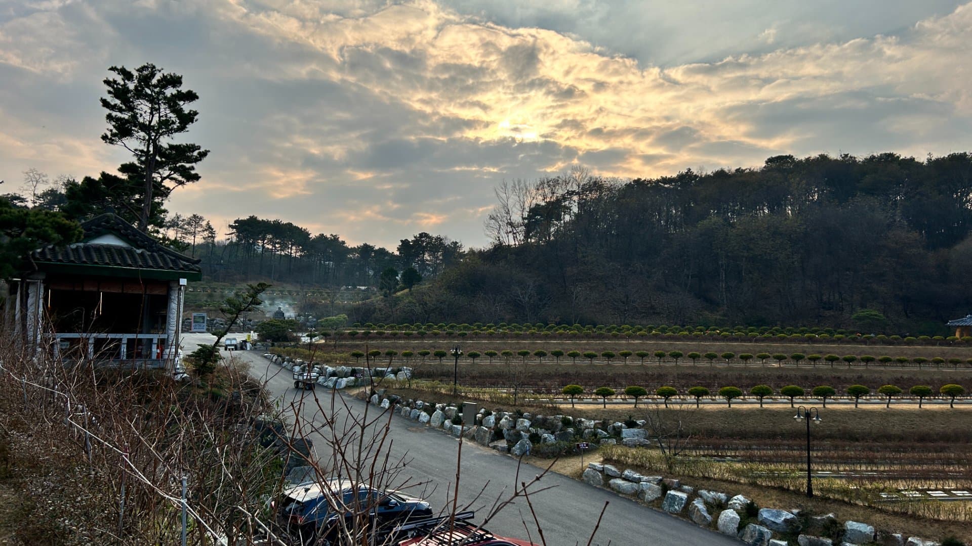 용인 사찰 수목장 수목장 전체 전경